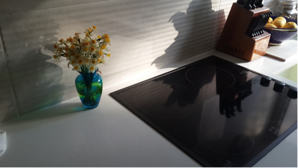 The Pros and Cons of Gas vs. Electric Stoves from Fort Walton Beach